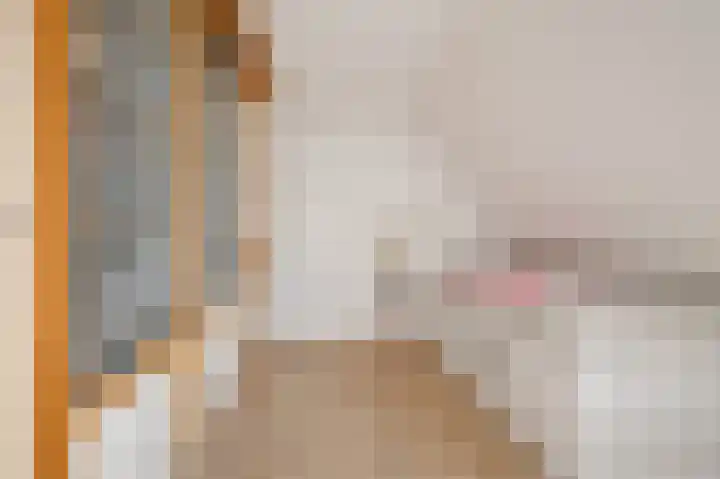 Dwarsreed 2 De Westereen thumbnail 29