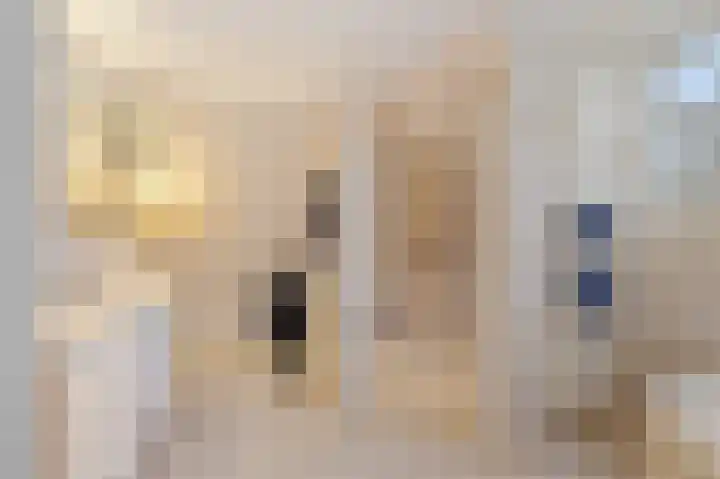 Dwarsreed 2 De Westereen thumbnail 32