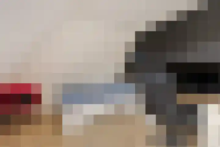 Dwarsreed 2 De Westereen thumbnail 34