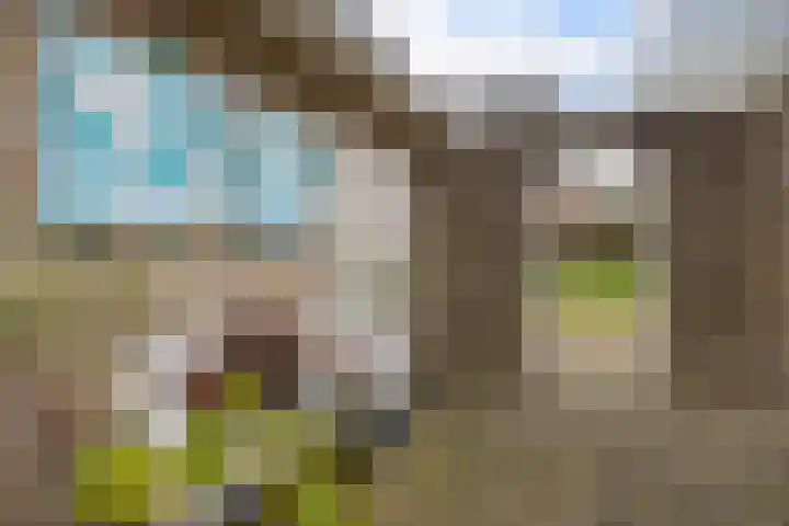 Dwarsreed 2 De Westereen thumbnail 36