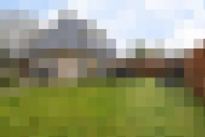 Dwarsreed 2 De Westereen thumbnail 4