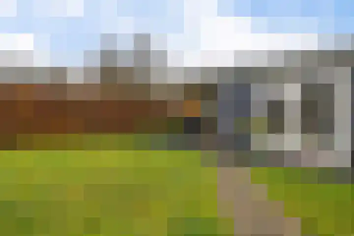 Dwarsreed 2 De Westereen thumbnail 40