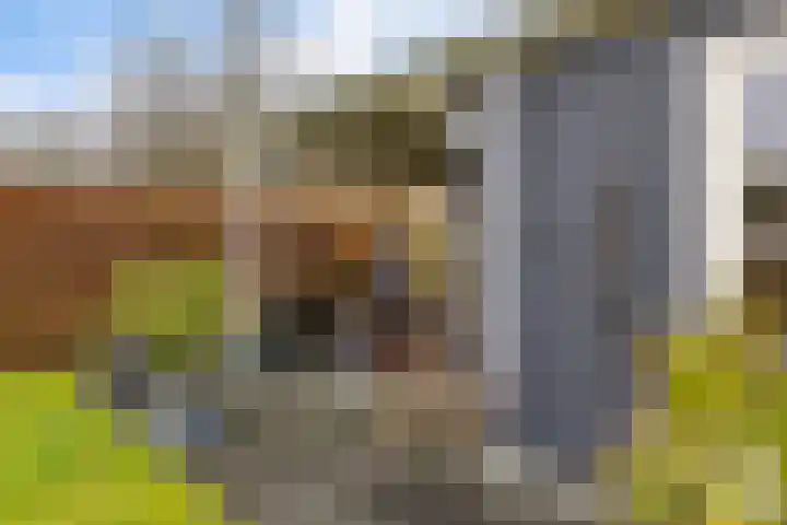 Dwarsreed 2 De Westereen thumbnail 41