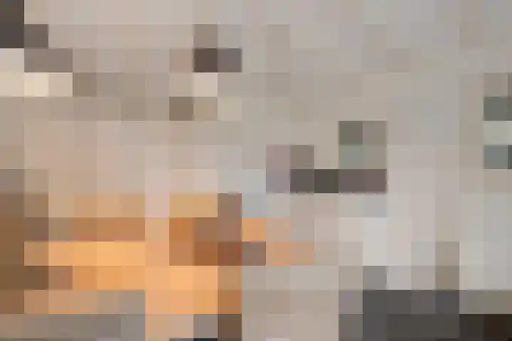 Dwarsreed 2 De Westereen thumbnail 42