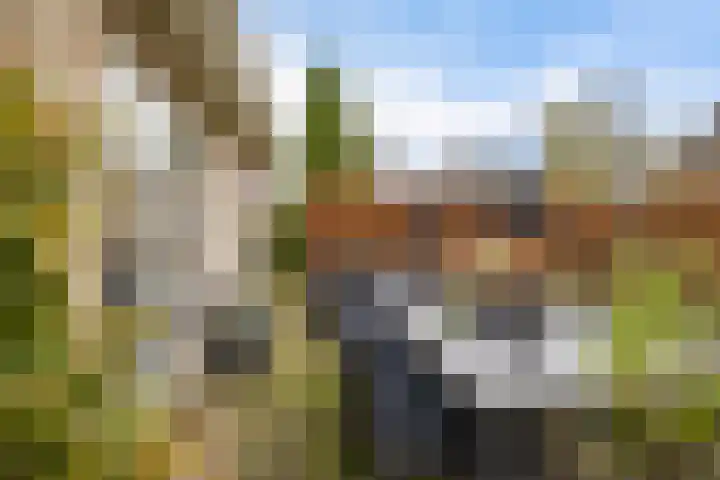 Dwarsreed 2 De Westereen thumbnail 43