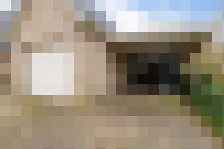 Dwarsreed 2 De Westereen thumbnail 45