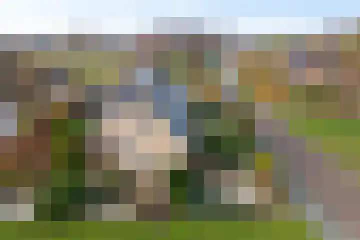 Dwarsreed 2 De Westereen thumbnail 48