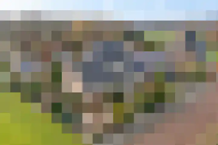 Dwarsreed 2 De Westereen thumbnail 5