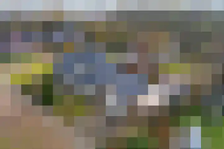 Dwarsreed 2 De Westereen thumbnail 50