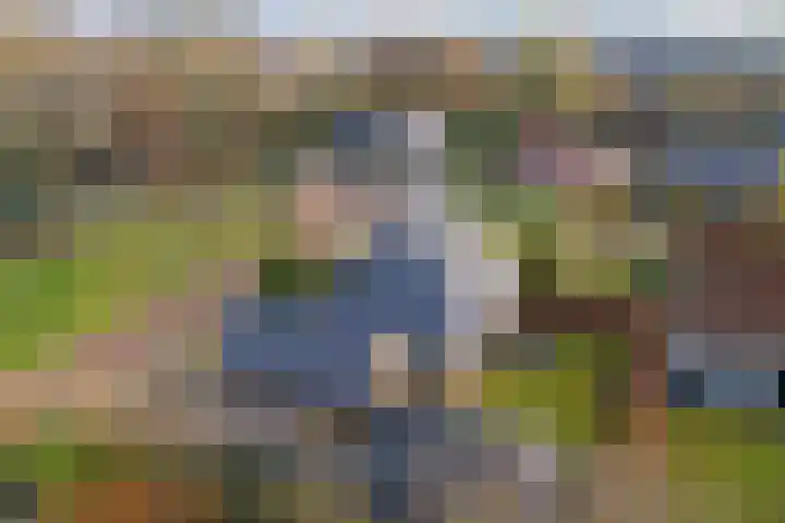 Dwarsreed 2 De Westereen thumbnail 51
