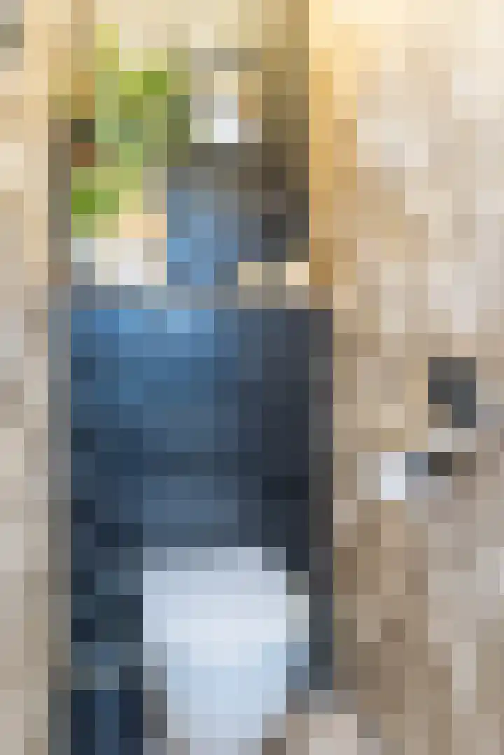 Dwarsstraat 2 Nuth thumbnail 16