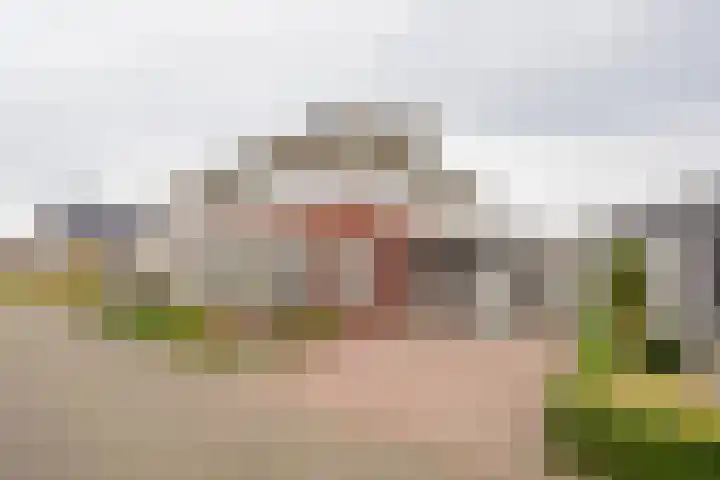 Dwergblauwtje 16 dans Nijkerk