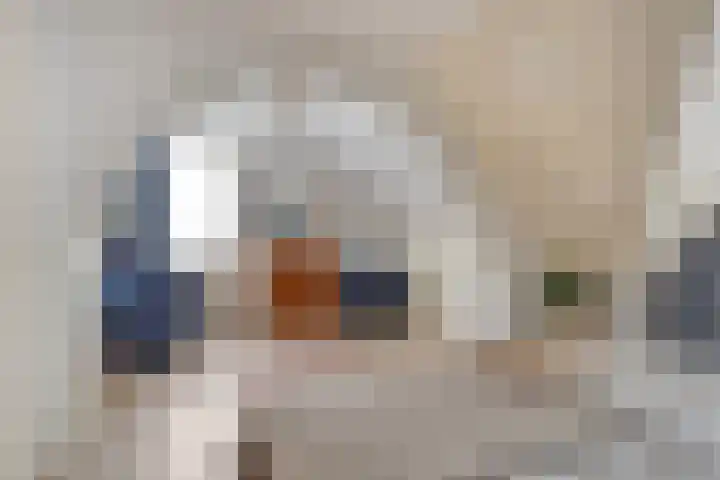 Dwergheuvel 15 Best thumbnail 16