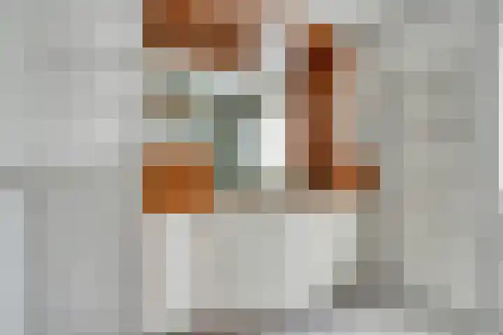 Dwergheuvel 15 Best thumbnail 19