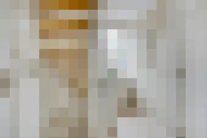 Dwergheuvel 15 Best thumbnail 21