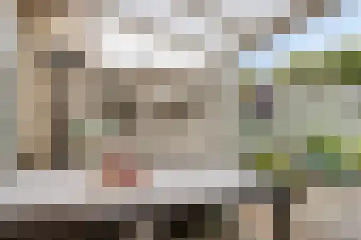 Dwergheuvel 15 Best thumbnail 31