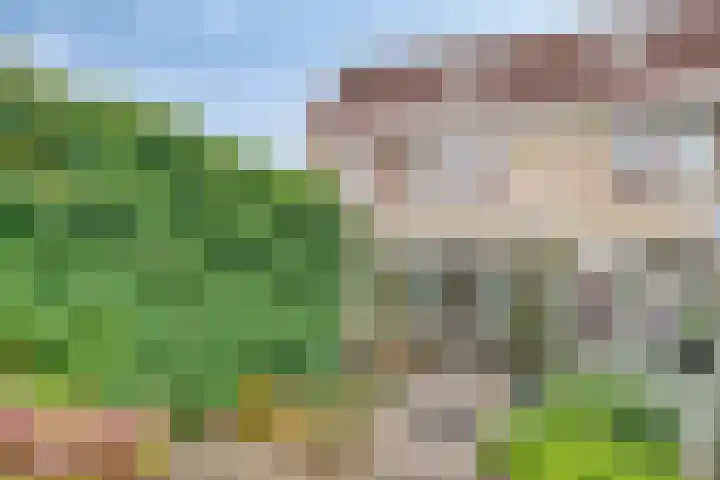 Dwergheuvel 15 Best thumbnail 32