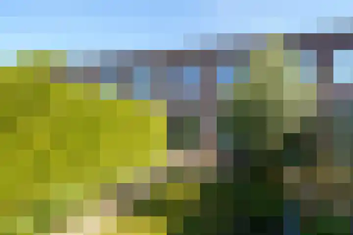 Dwergkonijnstraat 25 Almere thumbnail 31