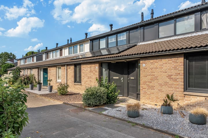 Dwergstern 20 in Etten-Leur foto