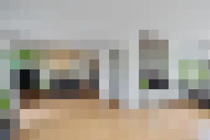 Dwergstern 3 Emmen thumbnail 10