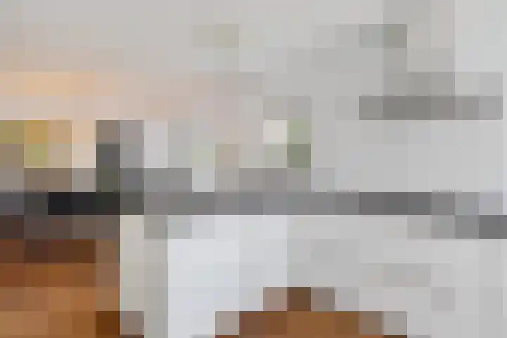 Dwergstern 3 Emmen thumbnail 14