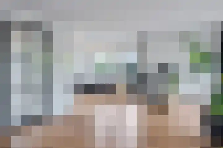 Dwergstern 3 Emmen thumbnail 15