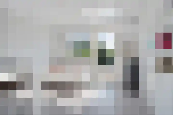 Dwergstern 3 Emmen thumbnail 18