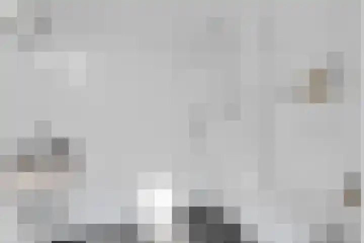 Dwergstern 3 Emmen thumbnail 19