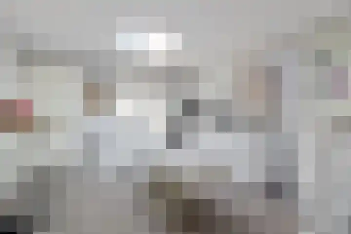 Dwergstern 3 Emmen thumbnail 21
