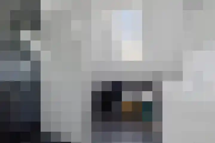 Dwergstern 3 Emmen thumbnail 22