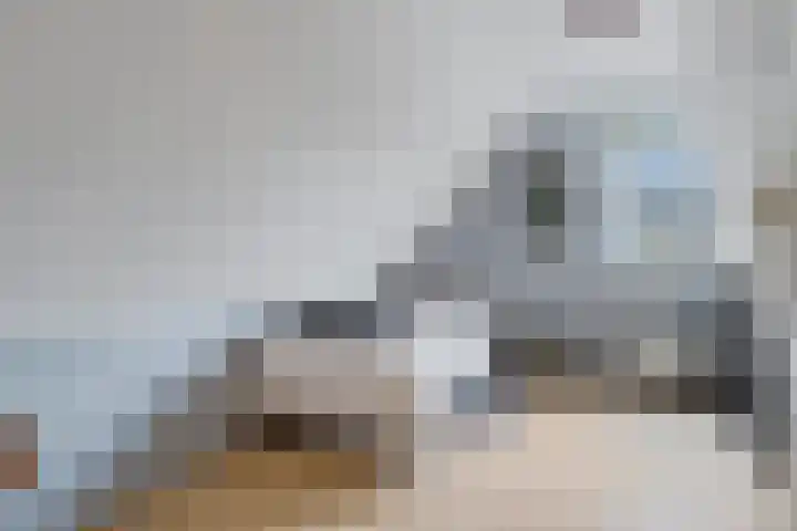 Dwergstern 3 Emmen thumbnail 26