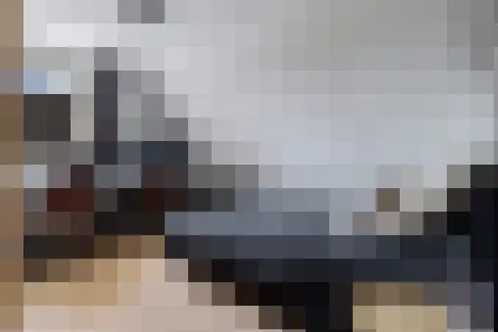Dwergstern 3 Emmen thumbnail 27