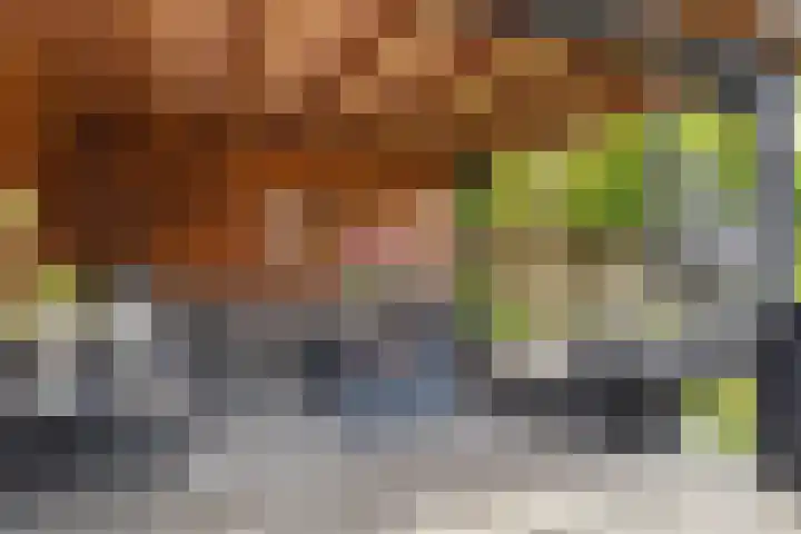 Dwergstern 3 Emmen thumbnail 32