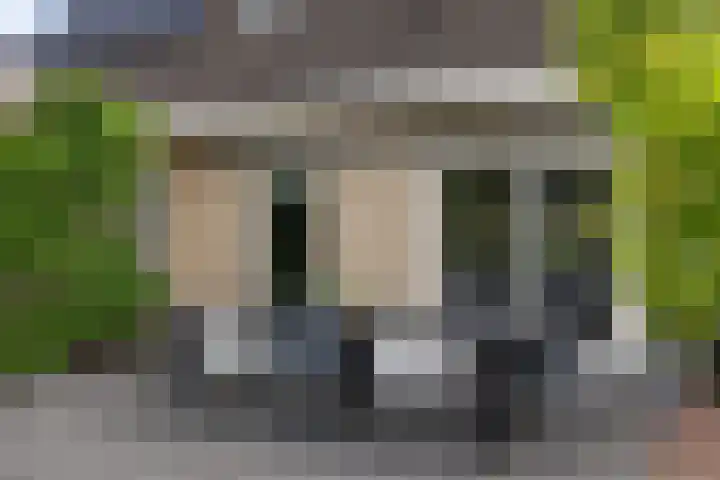 Dwergstern 3 Emmen thumbnail 36