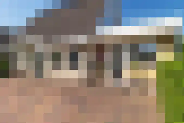 Dwergstern 3 Emmen thumbnail 4