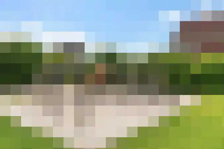 Dwergstern 3 Emmen thumbnail 41