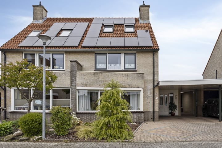 Dwergstern 45 in Emmen foto