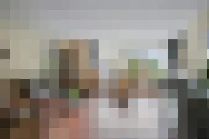 Dwergstern 45 Emmen thumbnail 13