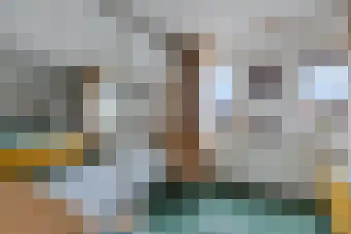 Dwergstern 45 Emmen thumbnail 32