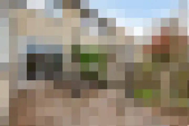 Dwergstern 45 Emmen thumbnail 44