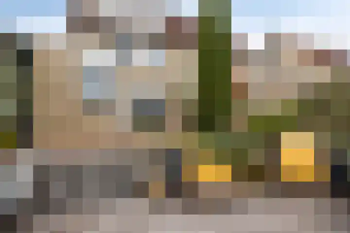Dwergstern 45 Emmen thumbnail 49