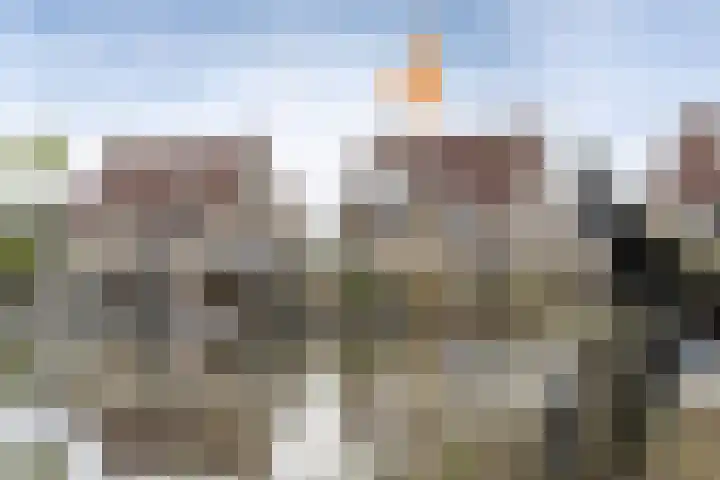 Dwergstern 45 Emmen thumbnail 6