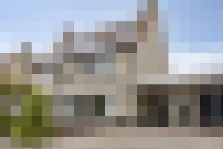 Dwergstern 45 Emmen thumbnail 8