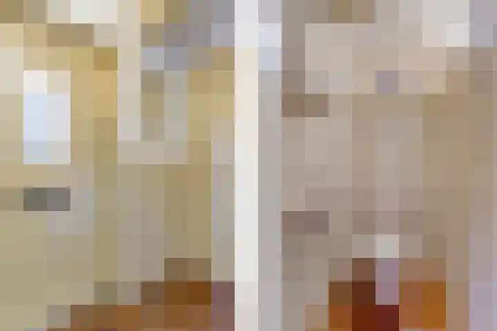 Dwerssteech 8 Woudsend thumbnail 14