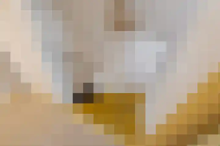 Dwerssteech 8 Woudsend thumbnail 16