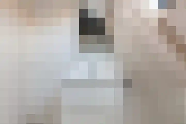 Dwerssteech 8 Woudsend thumbnail 22