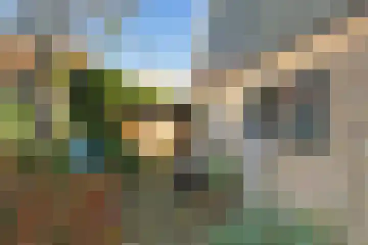 Dwerssteech 8 Woudsend thumbnail 31