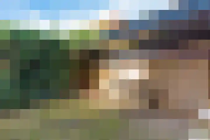 Dwerssteech 8 Woudsend thumbnail 32