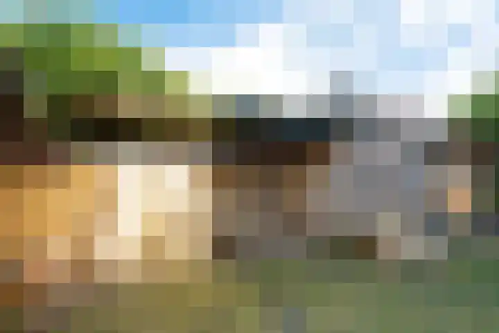 Dwerssteech 8 Woudsend thumbnail 33