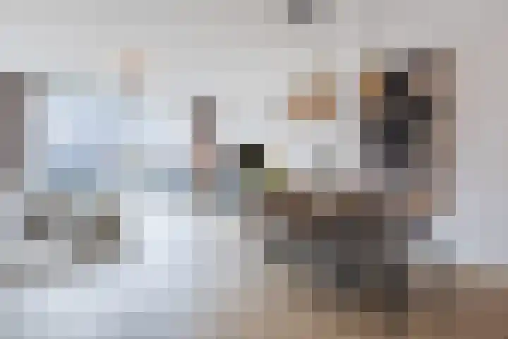 Dwingel 22 Steenbergen thumbnail 13